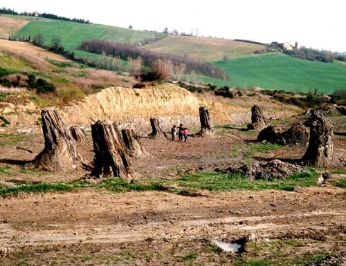 La Foresta Fossile di Dunarobba: un salto indietro di quasi tre milioni di anni