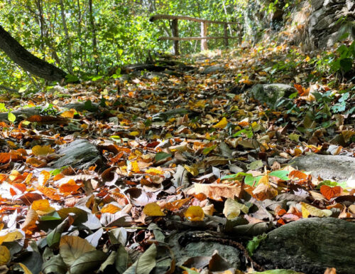 Sapori d’autunno a Tordandrea