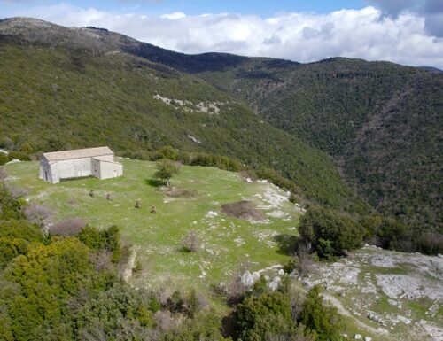 Le notizie del territorio, dai media locali