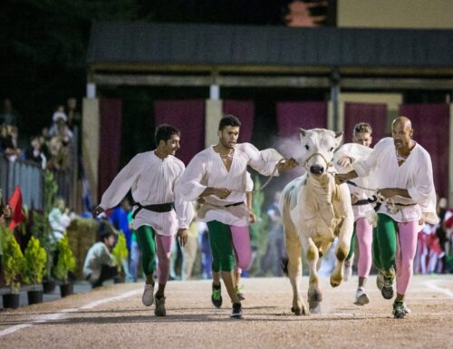 Agosto Montefalchese: sale l'attesa per la Corsa dei bovi