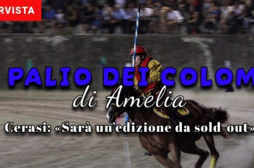 Amelia e il Palio dei Colombi, Cerasi: «Sarà un'emozione da tutto esaurito»