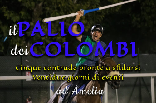 Palio dei Colombi: la sfida entra nel vivo