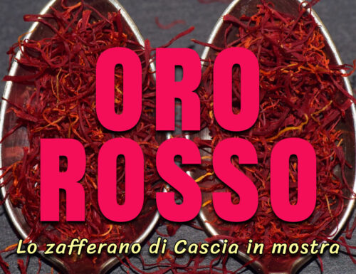 Cascia mostra il suo oro rosso: ecco lo zafferano