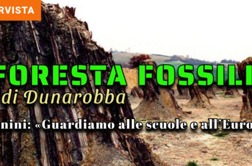 Foresta Fossile, Massimo Manini: «Queste sequoie sono il messaggio della natura all'uomo»