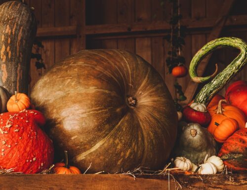 Taverna Sapori d'Autunno a Sismano